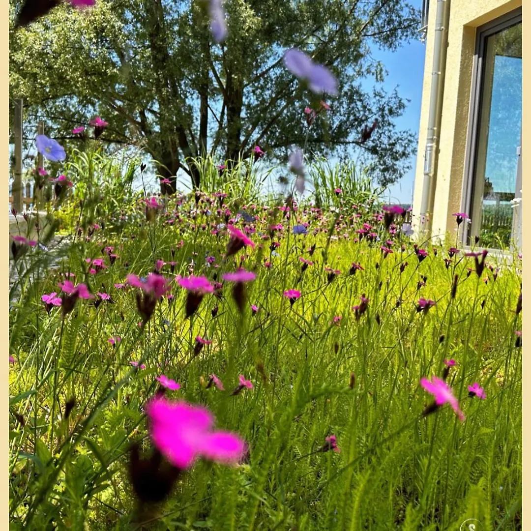 Seespitz Gaestehaus Herrsching am Ammersee